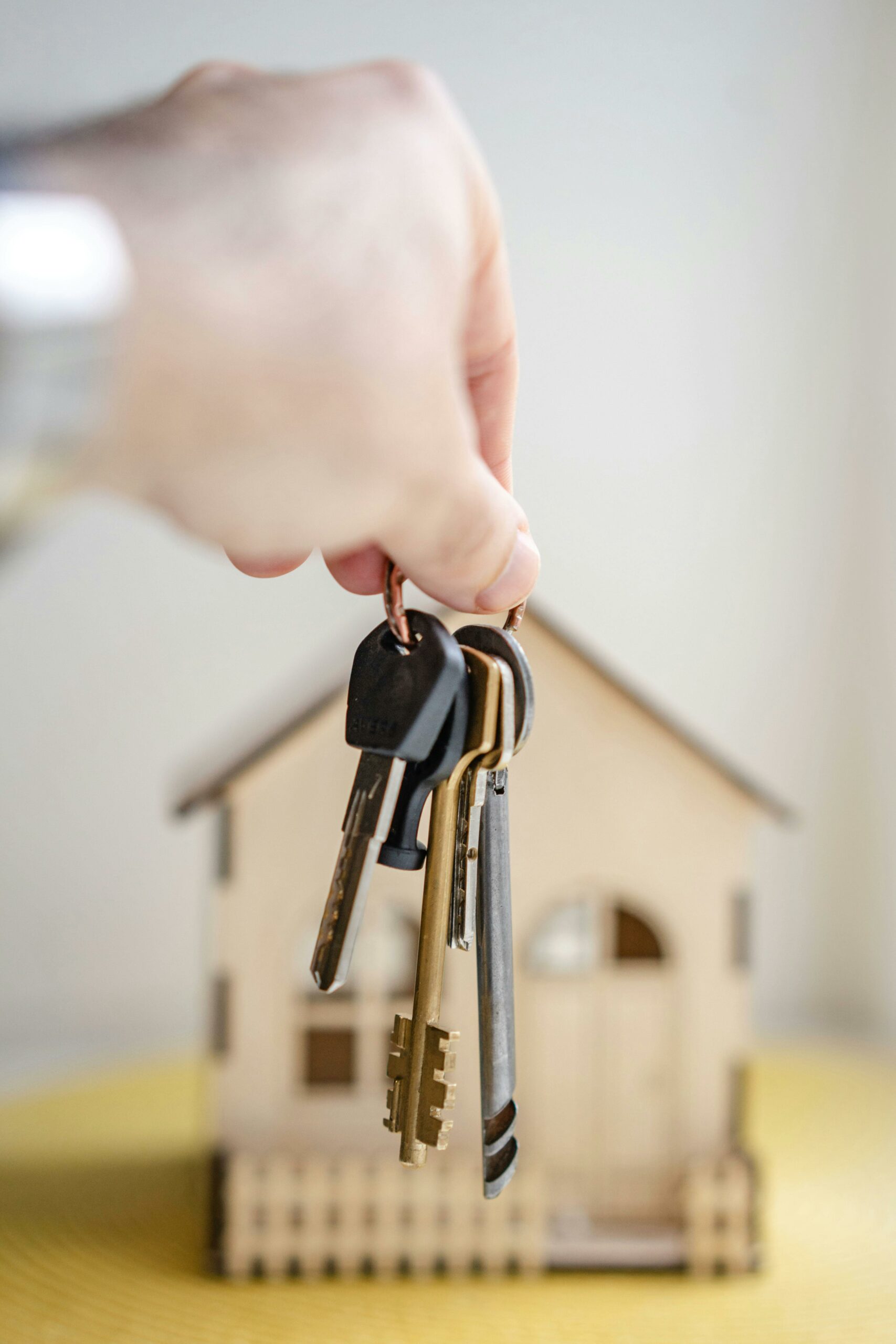 achat_agence_immobiliere_reims